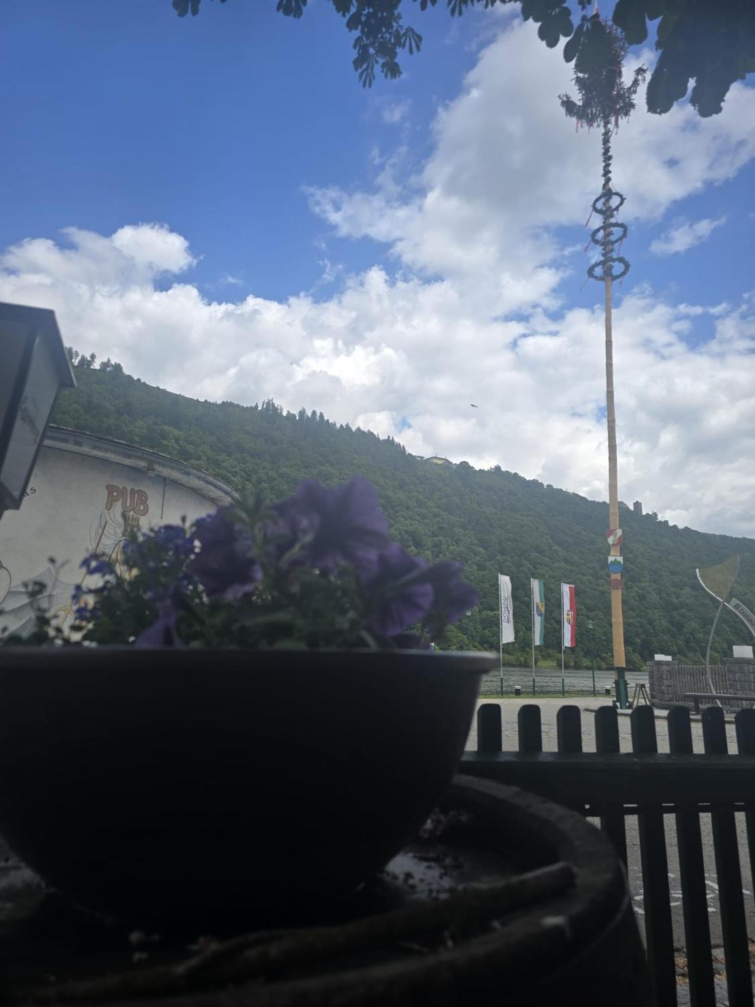 Gasthof Zum Schiffmeister Wesenufer Buitenkant foto